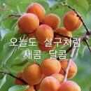이*행 - 안양시 동안구 엘에스로 34 | 이*행
