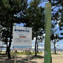 율포솔밭해수욕장 관광안내소 | 보성 애견동반 여행 율포해수욕장 취사 야영 가능?