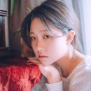 데이달리 데일리안