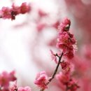 오늘하루가 이미지