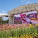 홍익대학교 영상대학원 이미지