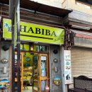 다사파피루스 | 이집트 여자 혼자 자유여행🛫고버스 야간 기자→룩소르 이동 룩소르 시장 기념품 룩소르 맛집 El-Kababgy...