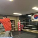 박돌복싱클럽 이미지