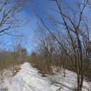 맘모스리조텔식당 이미지