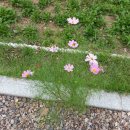 도음산 산림문화수련장 이미지