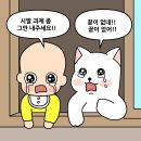 신포차 - 옥천군 관성로 8-4 | 신포차
