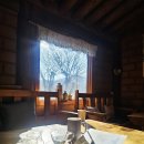 흙과 나무 이미지