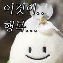 당감댁 이미지