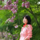 합도초교 이미지