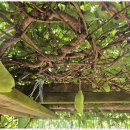 서당골사랑방 이미지