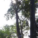 블루라군 이미지