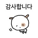 청담눈초롱안과동물병원 이미지