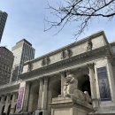 아름다운작은도서관 | [미국 여행] 뉴욕 공립도서관 New York Public Library 후기 + 내부 관람 및 로즈룸 꿀팁