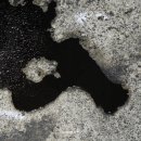 큰손낚시카페 이미지