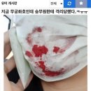 무궁화호 승무원한테 격리 당한 이유 이미지