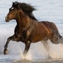 보문중학교 이미지