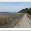 동천자전거길(서측) | 순천 바닷가 자전거로 어슬렁 거리기 7- 국가정원 동원