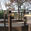 면목지구약수터 | 아차산, 용마산- (2022.06.03 )