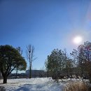 소망을 담아 그리는 전통민화 | 서울식물원 식물문화센터-&lt;민화로 만나는 식물&gt;목화꽃 그리기