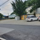 돌티미식당 이미지