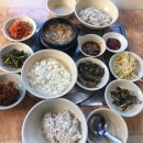 텃골쉼터 이미지