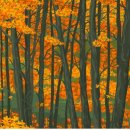 어머니의 방 - 시 이미지