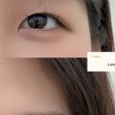 르누아(Lenua)