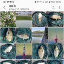 다산나정 이미지