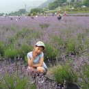 정수농장 이미지