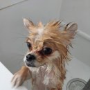 오구오구살롱 이미지