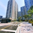 도마네거리 이미지