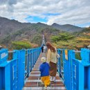 출렁다리(4) | 원주 소금산 그랜드밸리 너무 무서웠던 출렁다리 케이블카 코스 시간 총정리