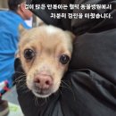 먹보 - 아산시 | 먹보