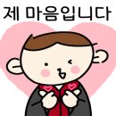 솔로몬여행사 이미지