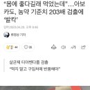 “몸에 좋다길래 먹었는데”…아보카도, 농약 기준치 203배 검출에 ‘발칵’ 이미지