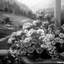 정혜목장 이미지