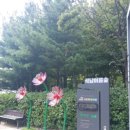 도시숲(석남녹지도시숲) | 2025. 9. 23. 석남역 석남녹지도시숲