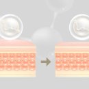 조각성형외과의원 이미지