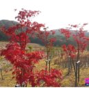 롯데일번지공인중개사사무소 이미지