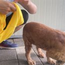 멍스퀘어 이미지