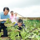 평화로운아파트 이미지