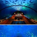 몰디브호텔 이미지