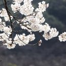 독립농장 이미지