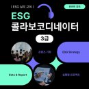 코디네이터