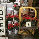 정인플라워 이미지