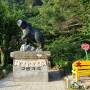 무릉계곡 1호 이미지