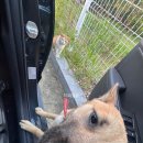 순동농장 이미지