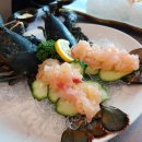 바다를 바라보며 회를 즐길 수 있는 회맛집 BEST 5 이미지