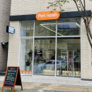 Pet nosh(펫노쉬) | 대전 도안동 애견수제간식 '펫노쉬' / 로랑이 생일 🎂🤎