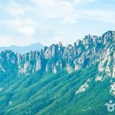충무노동조합 | ‘N차 여행’ 강화·고성·하동·통영·전주…다시 찾는 국내여행의 특별한 매력